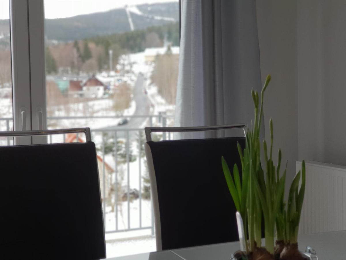 Vera Apartment Swieradow-Zdroj Zakopianska 22 C M10 外观 照片