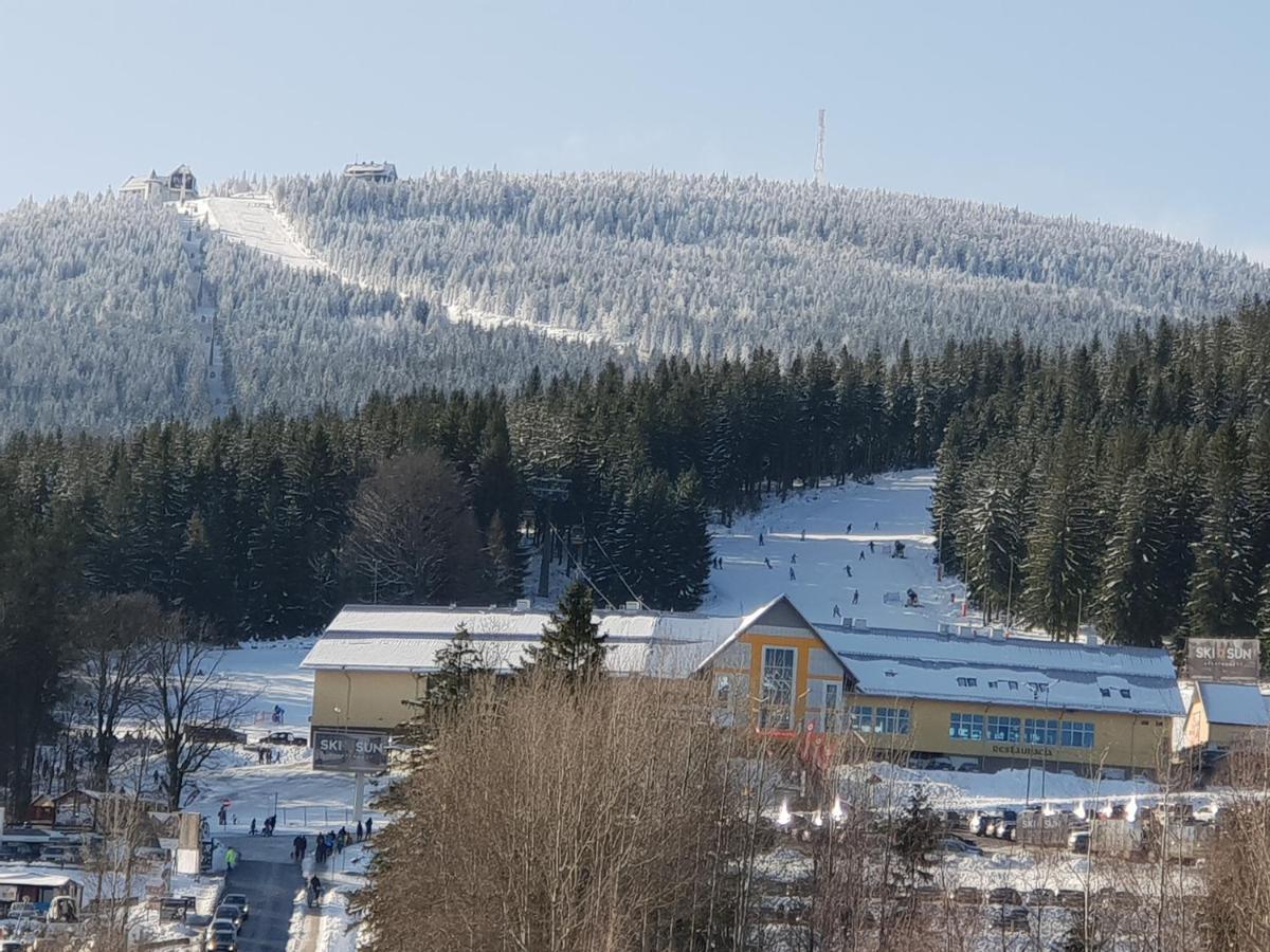 Vera Apartment Swieradow-Zdroj Zakopianska 22 C M10 外观 照片